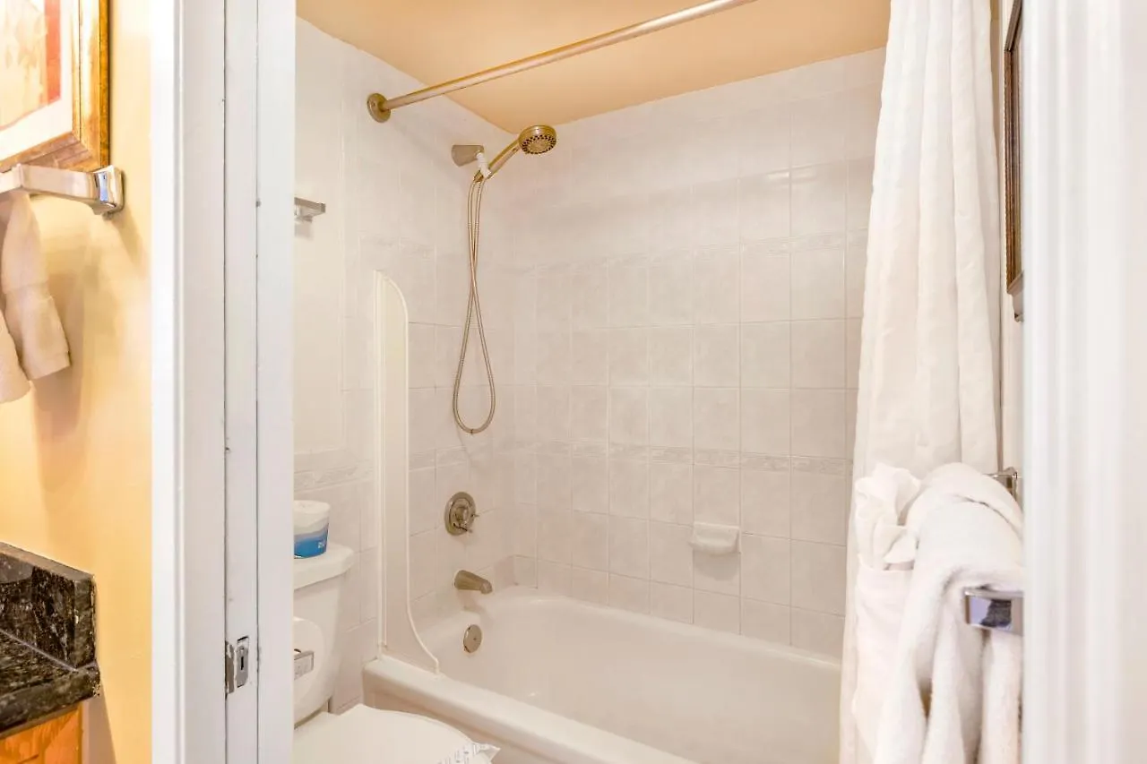 Stylish Condo With Mountain Views In Waikiki Banyan! Honolulu